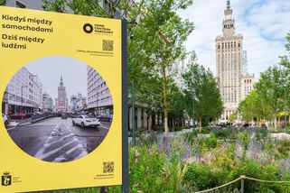 Asfalt ustupuje stromům. Varšava dává ztracenému centru novou tvář - Seznam Zprávy